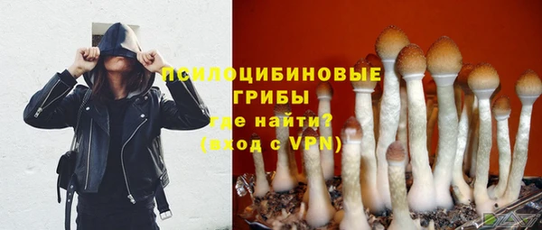 a pvp Арсеньев