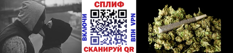 купить   Оса  МАРИХУАНА Bruce Banner 